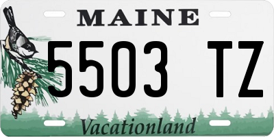 ME license plate 5503TZ