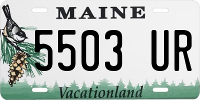 ME license plate 5503UR