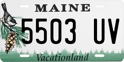 ME license plate 5503UV