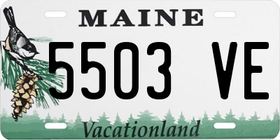 ME license plate 5503VE