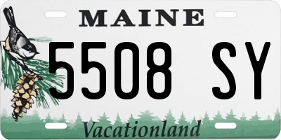 ME license plate 5508SY