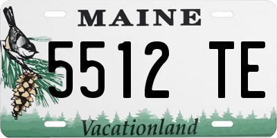 ME license plate 5512TE