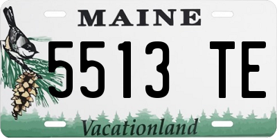 ME license plate 5513TE