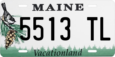ME license plate 5513TL
