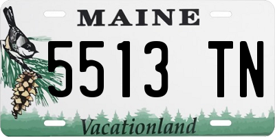 ME license plate 5513TN