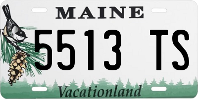 ME license plate 5513TS