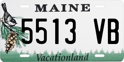 ME license plate 5513VB