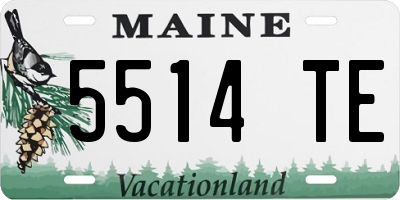 ME license plate 5514TE