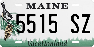 ME license plate 5515SZ