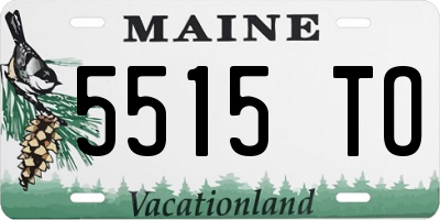 ME license plate 5515TO