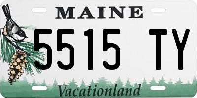 ME license plate 5515TY