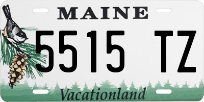 ME license plate 5515TZ