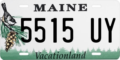 ME license plate 5515UY