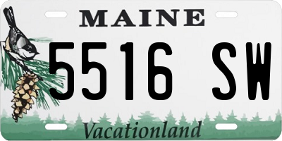 ME license plate 5516SW