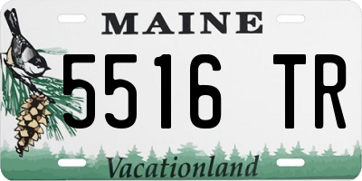 ME license plate 5516TR