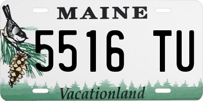 ME license plate 5516TU