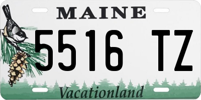 ME license plate 5516TZ