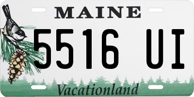 ME license plate 5516UI
