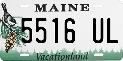 ME license plate 5516UL