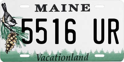 ME license plate 5516UR