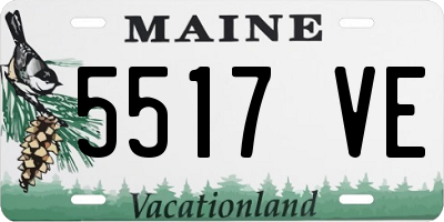ME license plate 5517VE