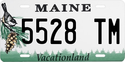 ME license plate 5528TM