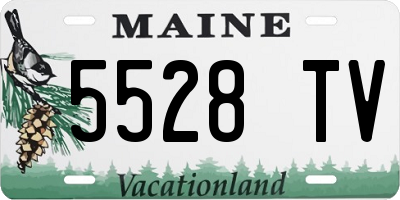 ME license plate 5528TV