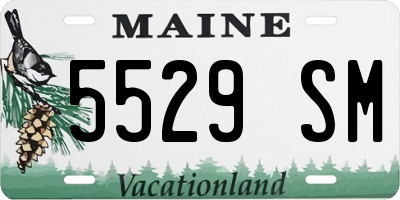 ME license plate 5529SM