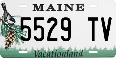 ME license plate 5529TV