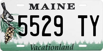 ME license plate 5529TY