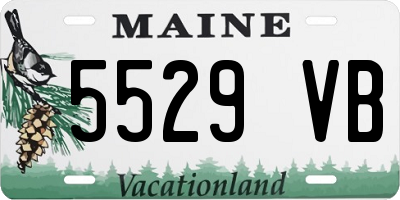 ME license plate 5529VB