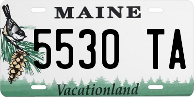 ME license plate 5530TA