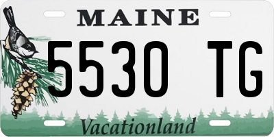 ME license plate 5530TG