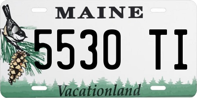 ME license plate 5530TI