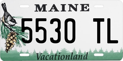 ME license plate 5530TL