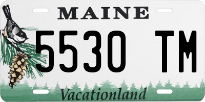ME license plate 5530TM