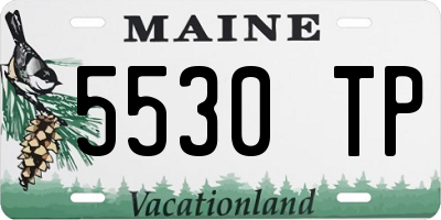 ME license plate 5530TP