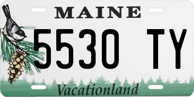 ME license plate 5530TY