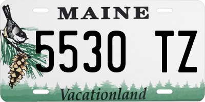 ME license plate 5530TZ