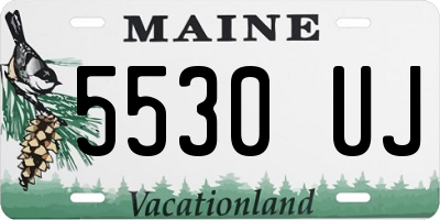 ME license plate 5530UJ
