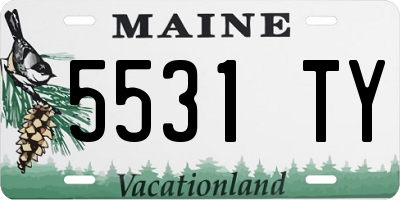 ME license plate 5531TY