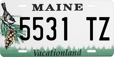 ME license plate 5531TZ