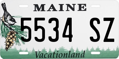 ME license plate 5534SZ