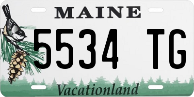 ME license plate 5534TG