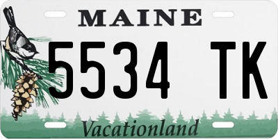 ME license plate 5534TK