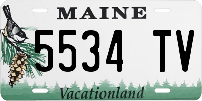 ME license plate 5534TV
