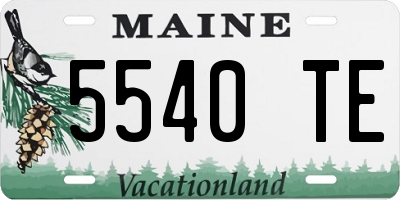 ME license plate 5540TE