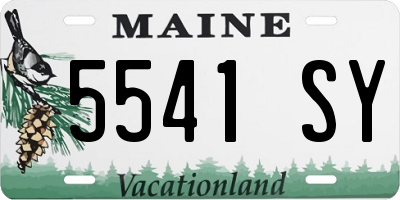 ME license plate 5541SY