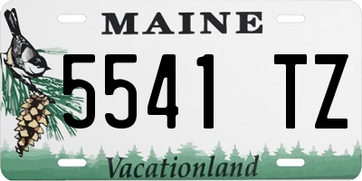ME license plate 5541TZ