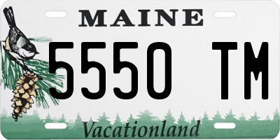 ME license plate 5550TM